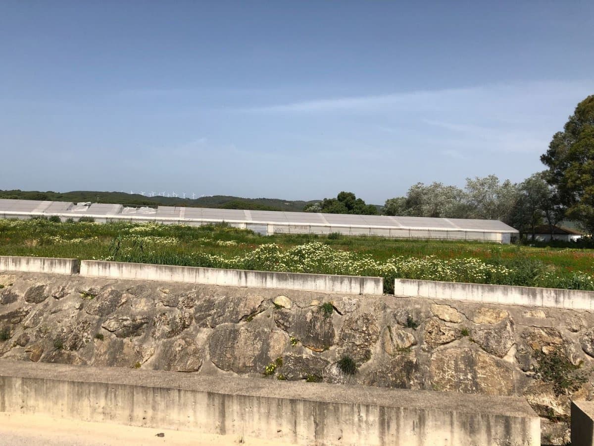 Ubebygd land til salgs i Barbate - € 320 000 (Ref: 4914315)