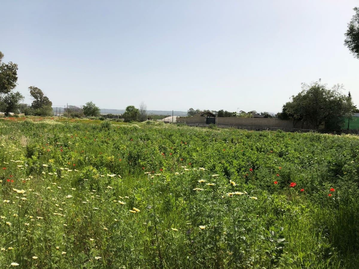 Ubebygd land til salgs i Barbate - € 320 000 (Ref: 4914315)