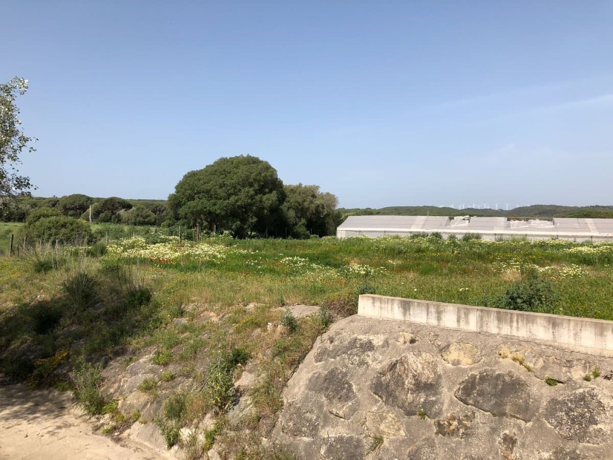 Ubebygd land til salgs i Barbate - € 320 000 (Ref: 4914315)