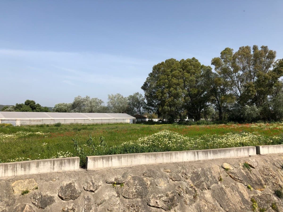 Ubebygd land til salgs i Barbate - € 320 000 (Ref: 4914315)