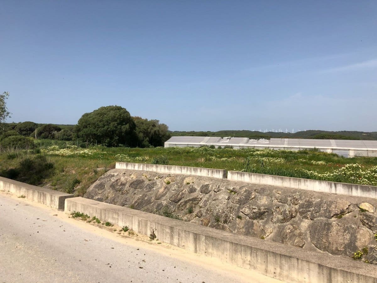 Ubebygd land til salgs i Barbate - € 320 000 (Ref: 4914315)