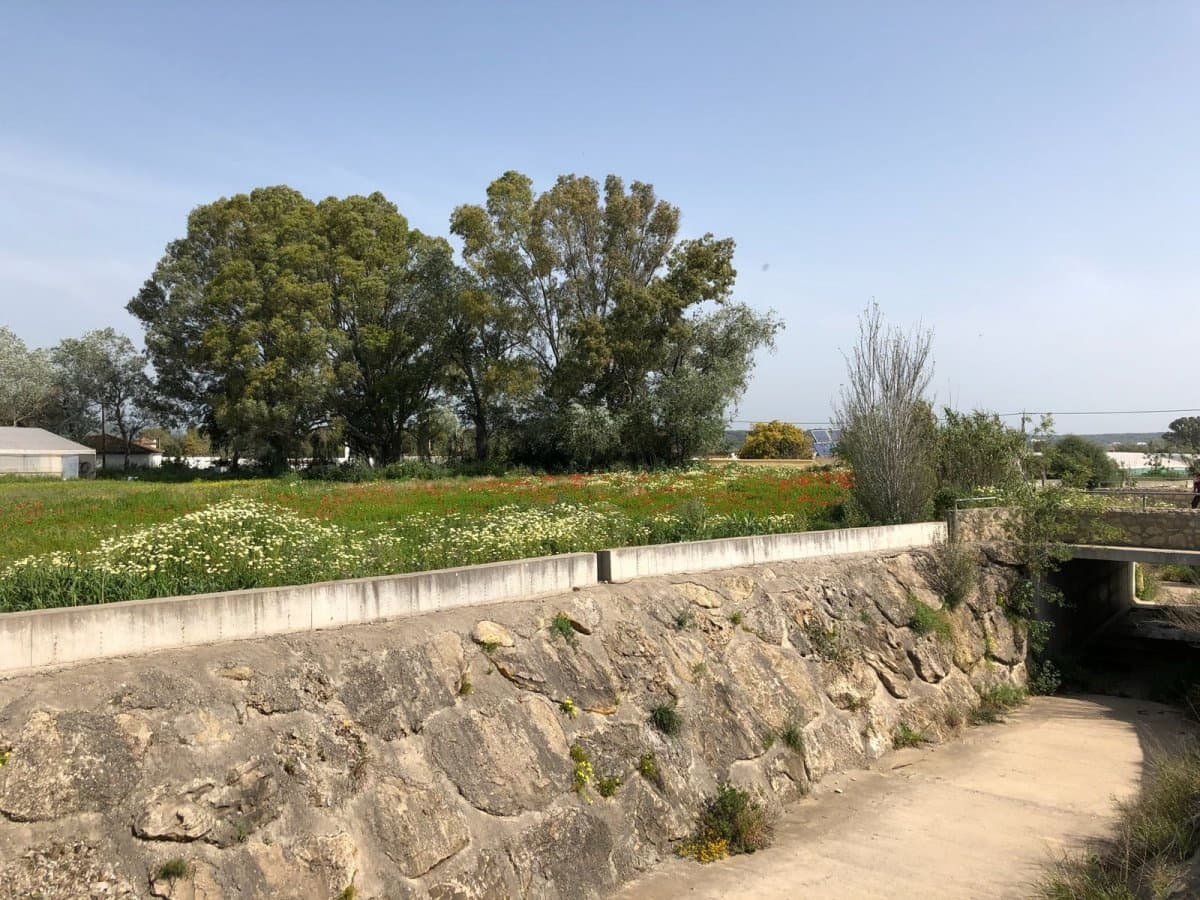 Ubebygd land til salgs i Barbate - € 320 000 (Ref: 4914315)