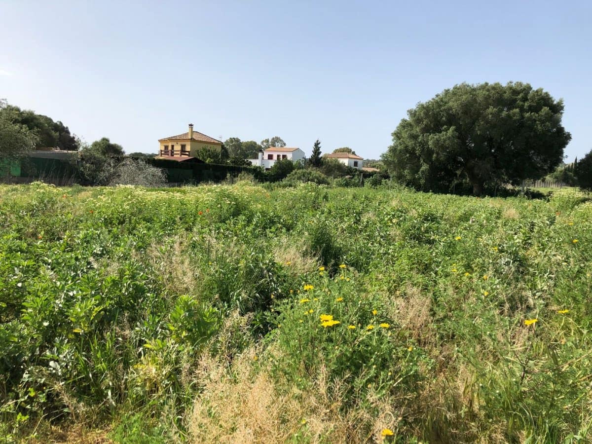 Ubebygd land til salgs i Barbate - € 320 000 (Ref: 4914315)