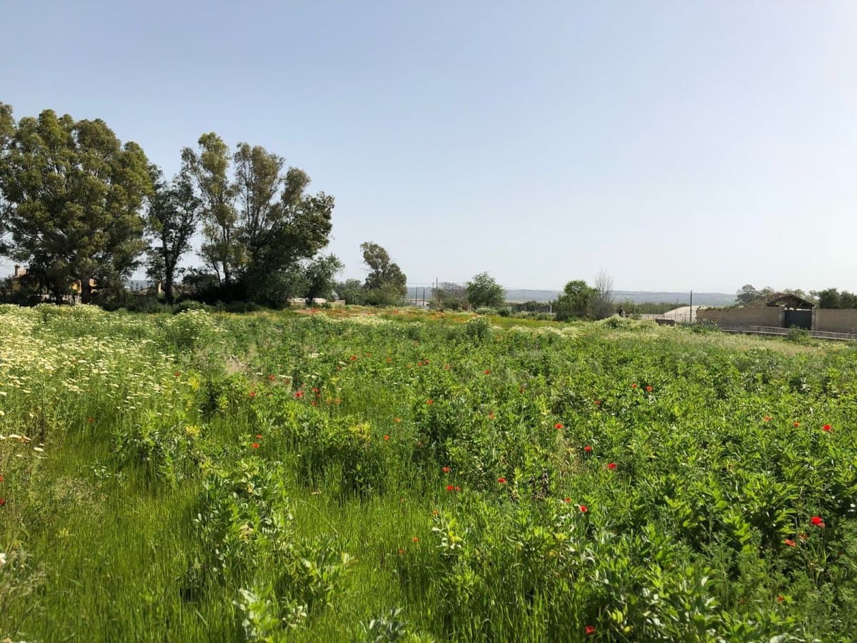Ubebygd land til salgs i Barbate - € 320 000 (Ref: 4914315)