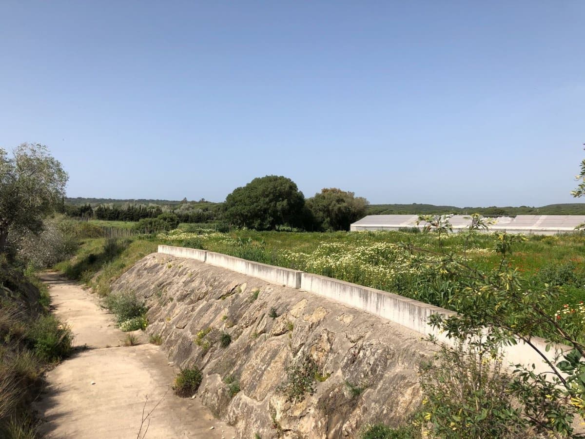 Ubebygd land til salgs i Barbate - € 320 000 (Ref: 4914315)