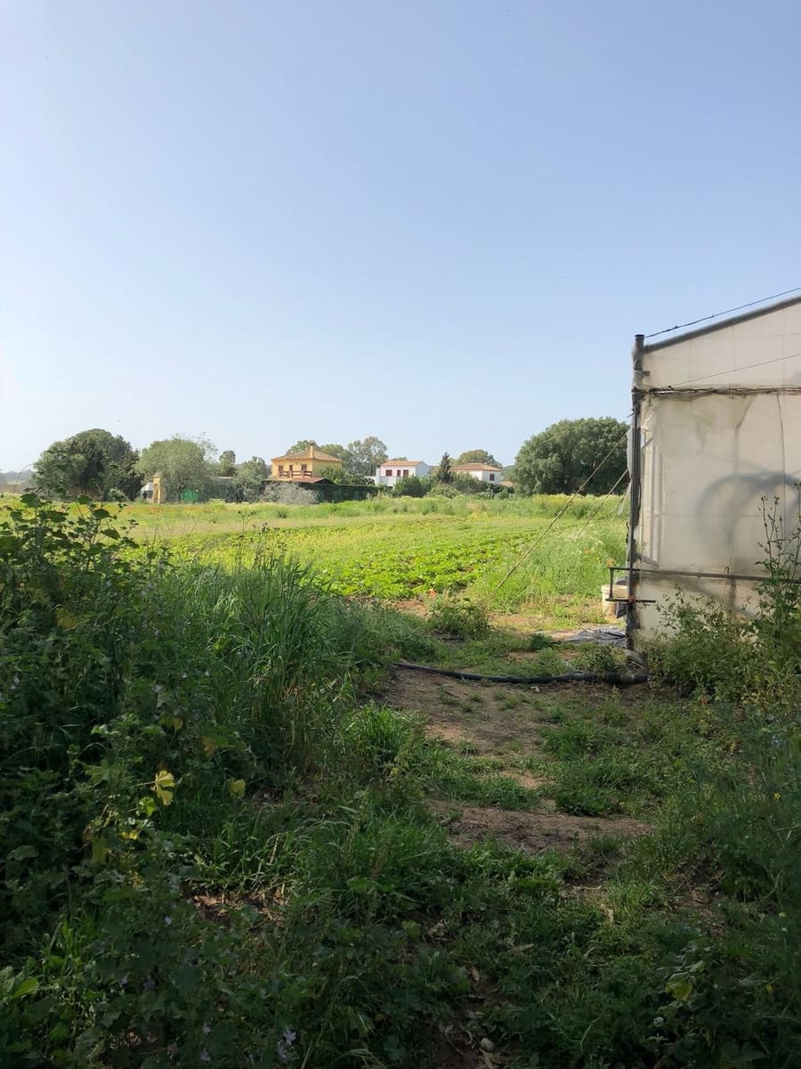 Ubebygd land til salgs i Barbate - € 320 000 (Ref: 4914315)