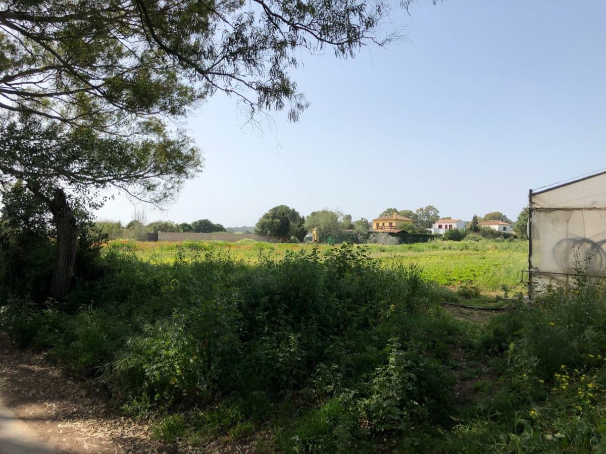 Ubebygd land til salgs i Barbate - € 320 000 (Ref: 4914315)