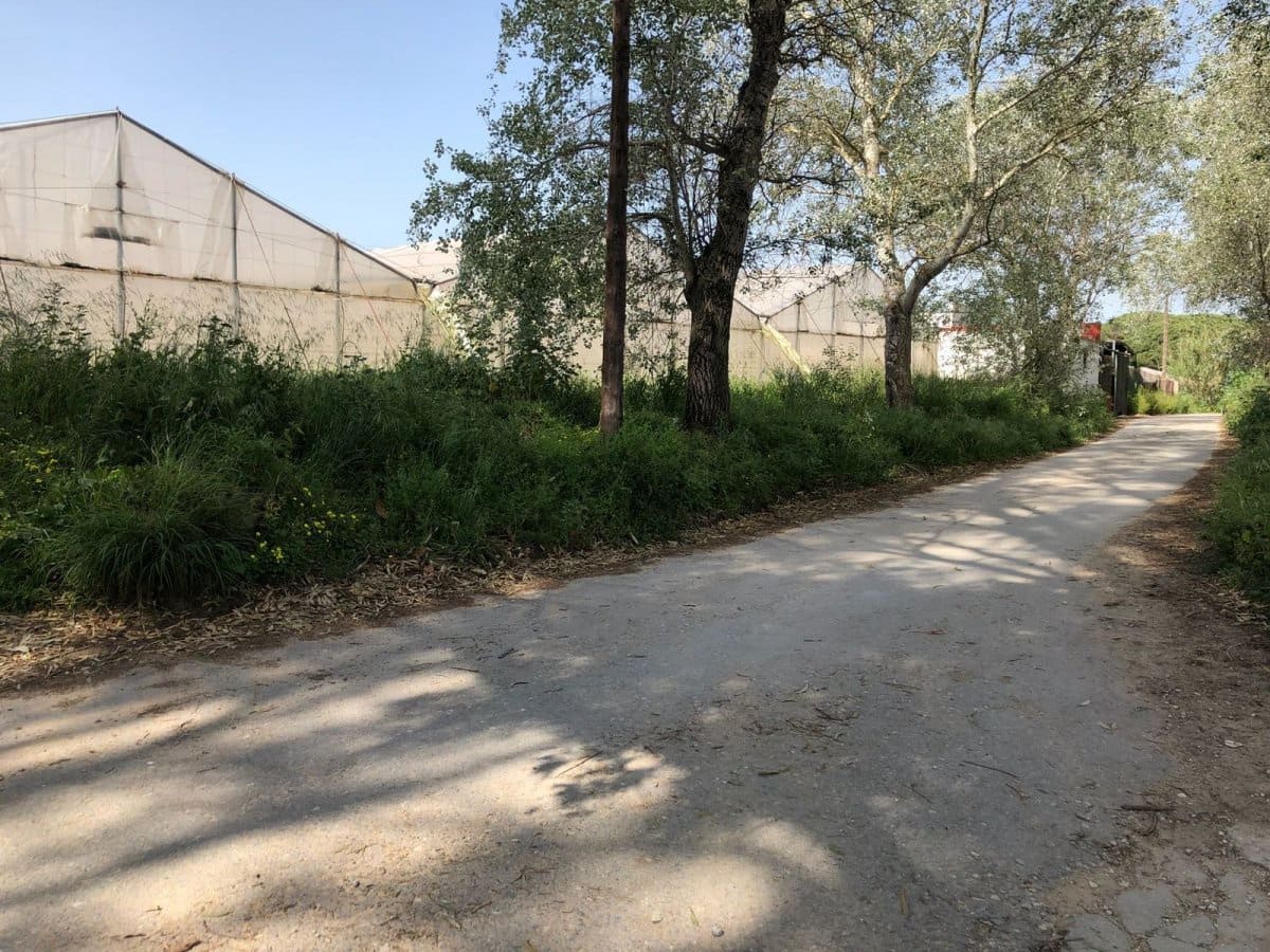 Ubebygd land til salgs i Barbate - € 320 000 (Ref: 4914315)