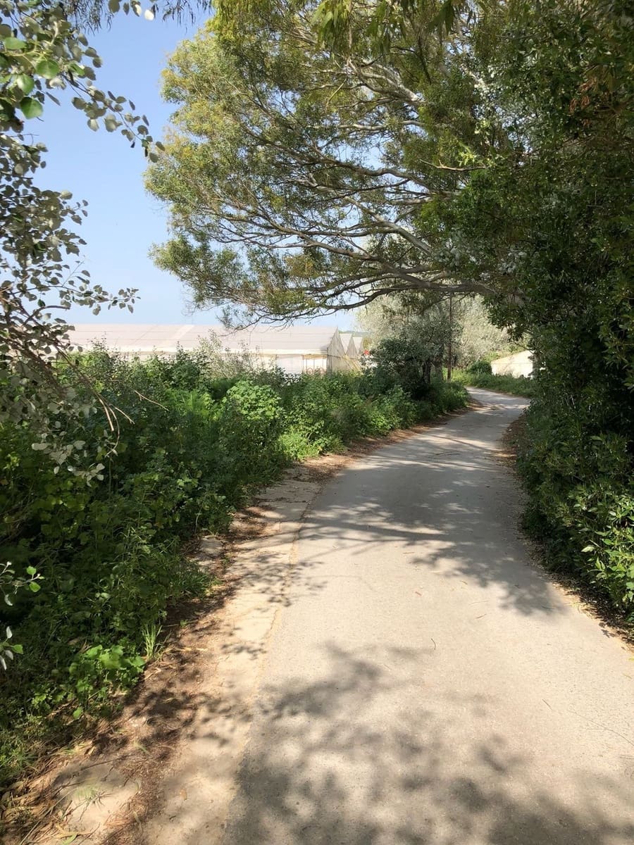 Ubebygd land til salgs i Barbate - € 320 000 (Ref: 4914315)