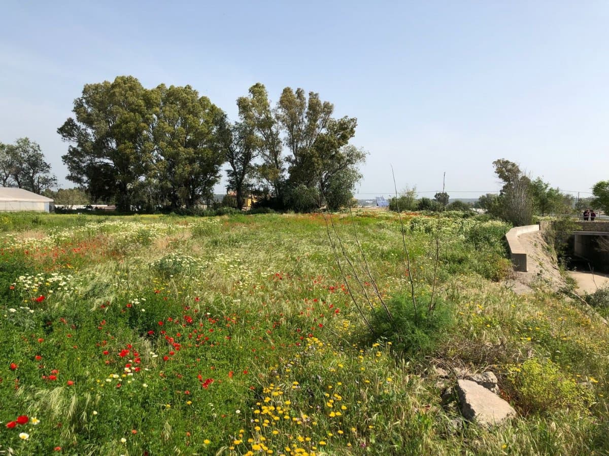 Ubebygd land til salgs i Barbate - € 320 000 (Ref: 4914315)