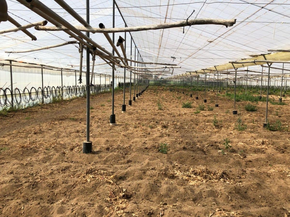 Ubebygd land til salgs i Barbate - € 320 000 (Ref: 4914315)