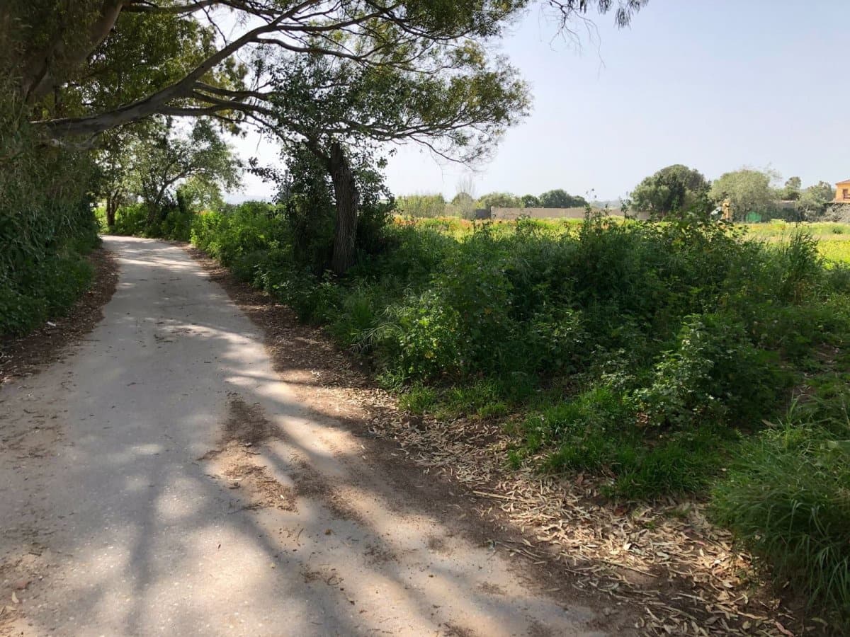 Ubebygd land til salgs i Barbate - € 320 000 (Ref: 4914315)