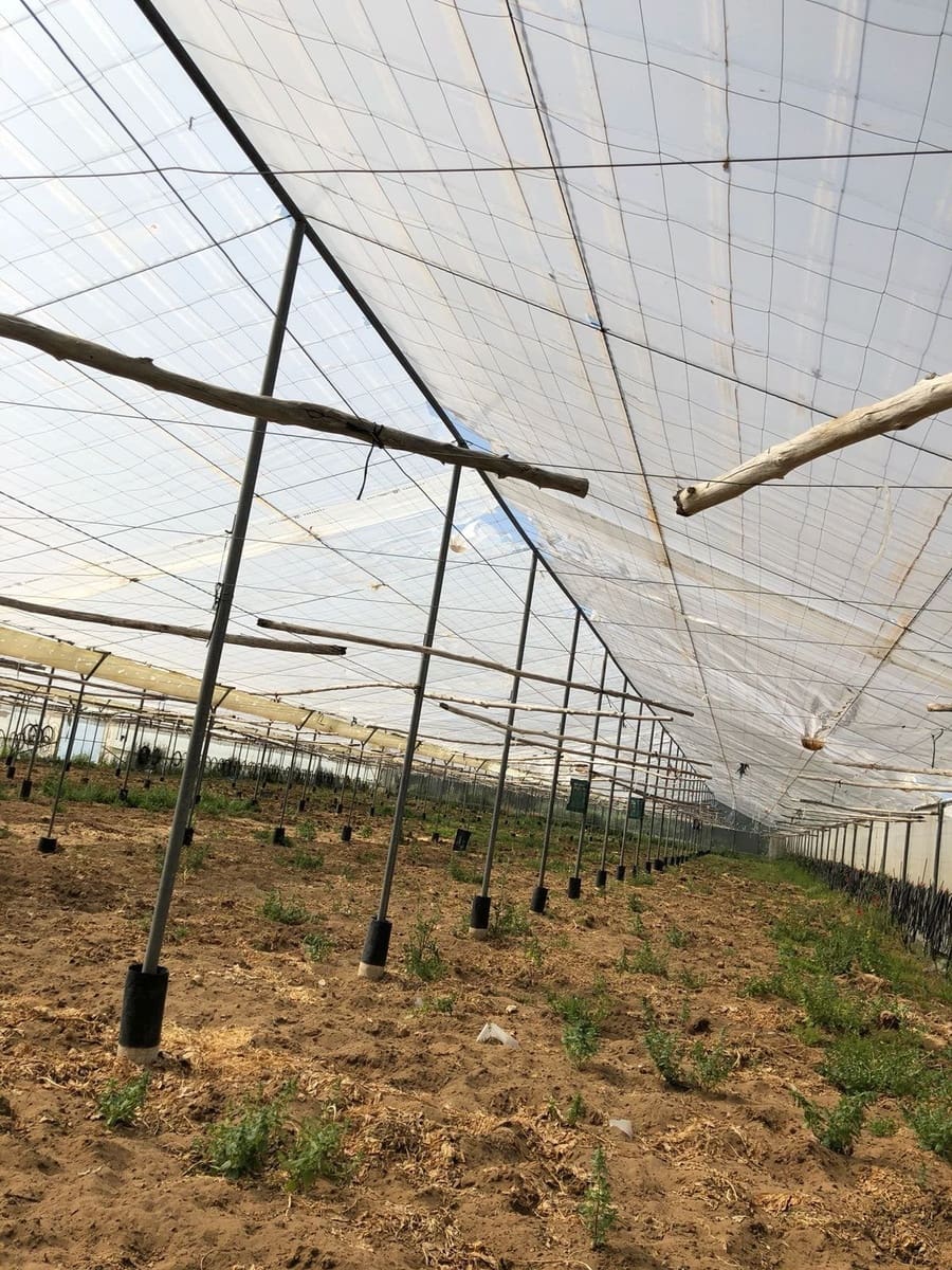 Ubebygd land til salgs i Barbate - € 320 000 (Ref: 4914315)