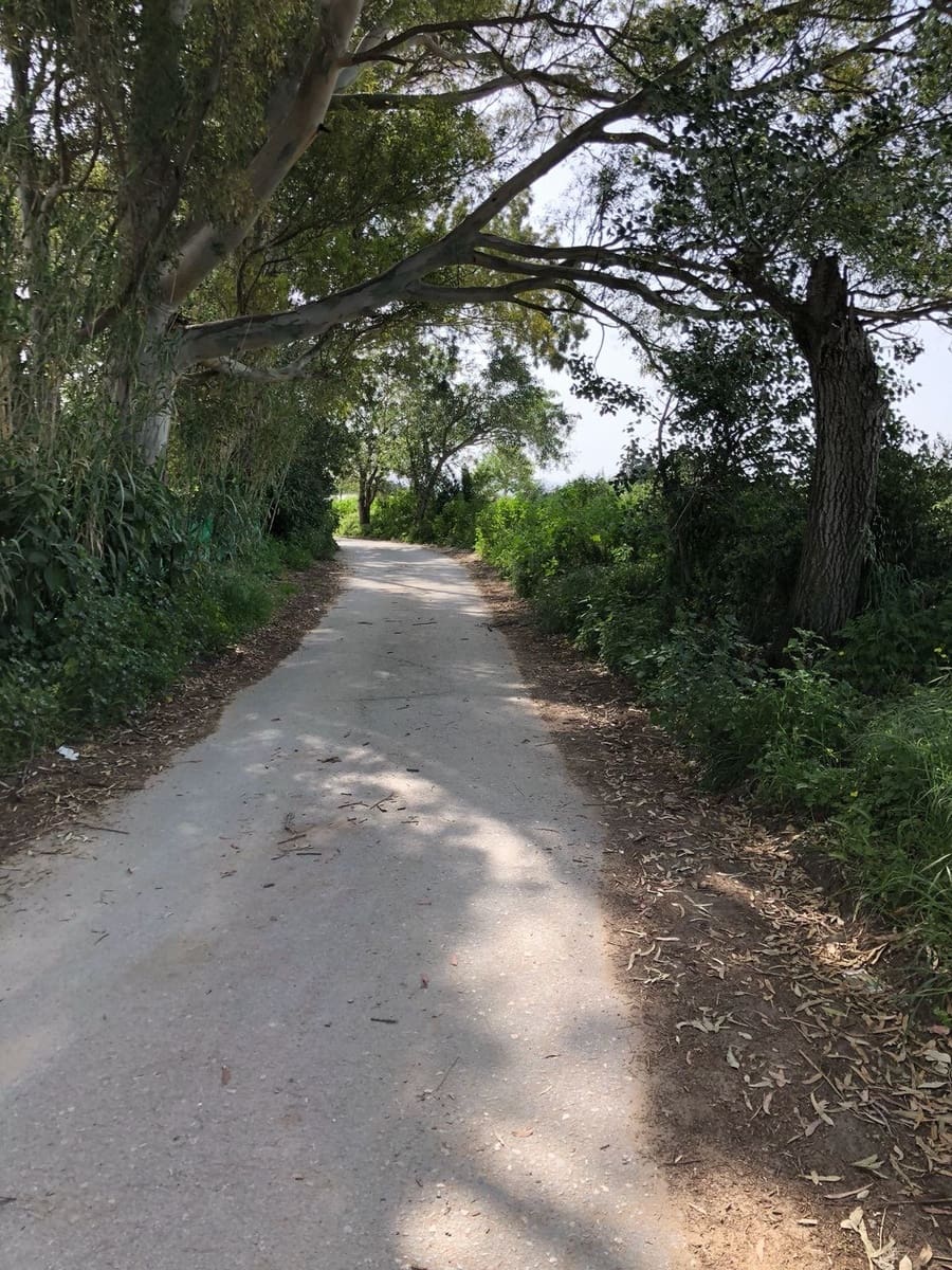 Ubebygd land til salgs i Barbate - € 320 000 (Ref: 4914315)