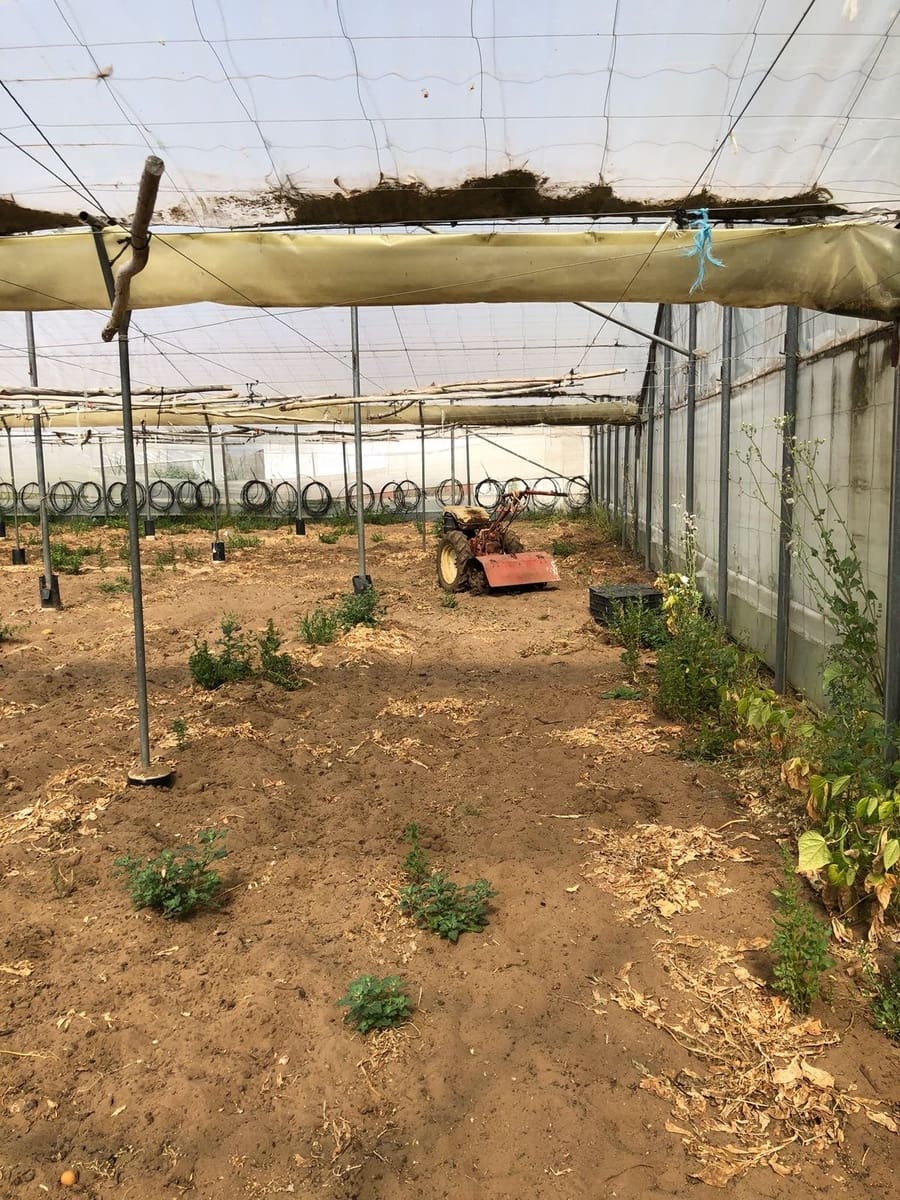 Ubebygd land til salgs i Barbate - € 320 000 (Ref: 4914315)