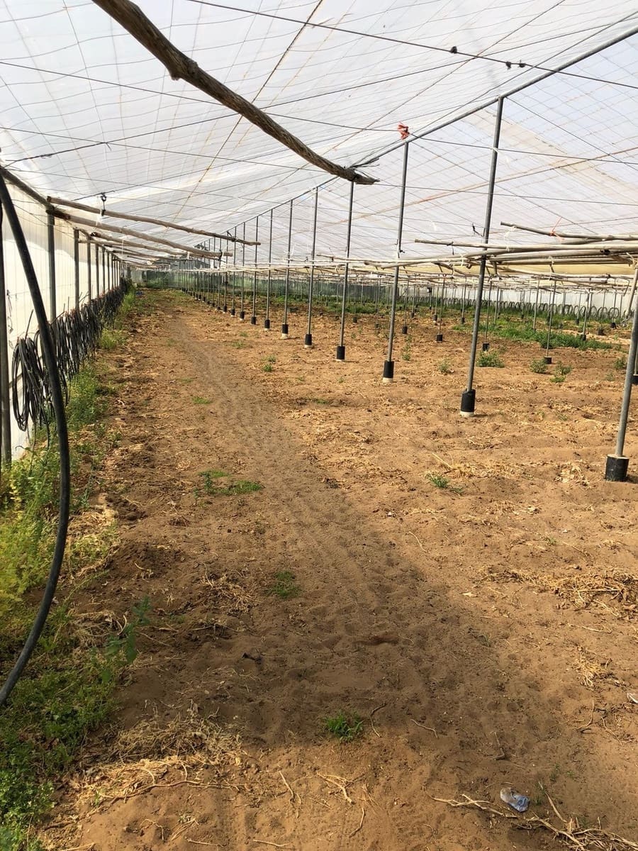 Ubebygd land til salgs i Barbate - € 320 000 (Ref: 4914315)