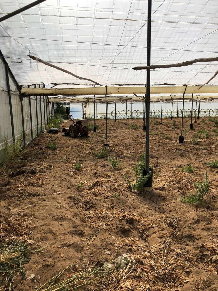 Ubebygd land til salgs i Barbate - € 320 000 (Ref: 4914315)