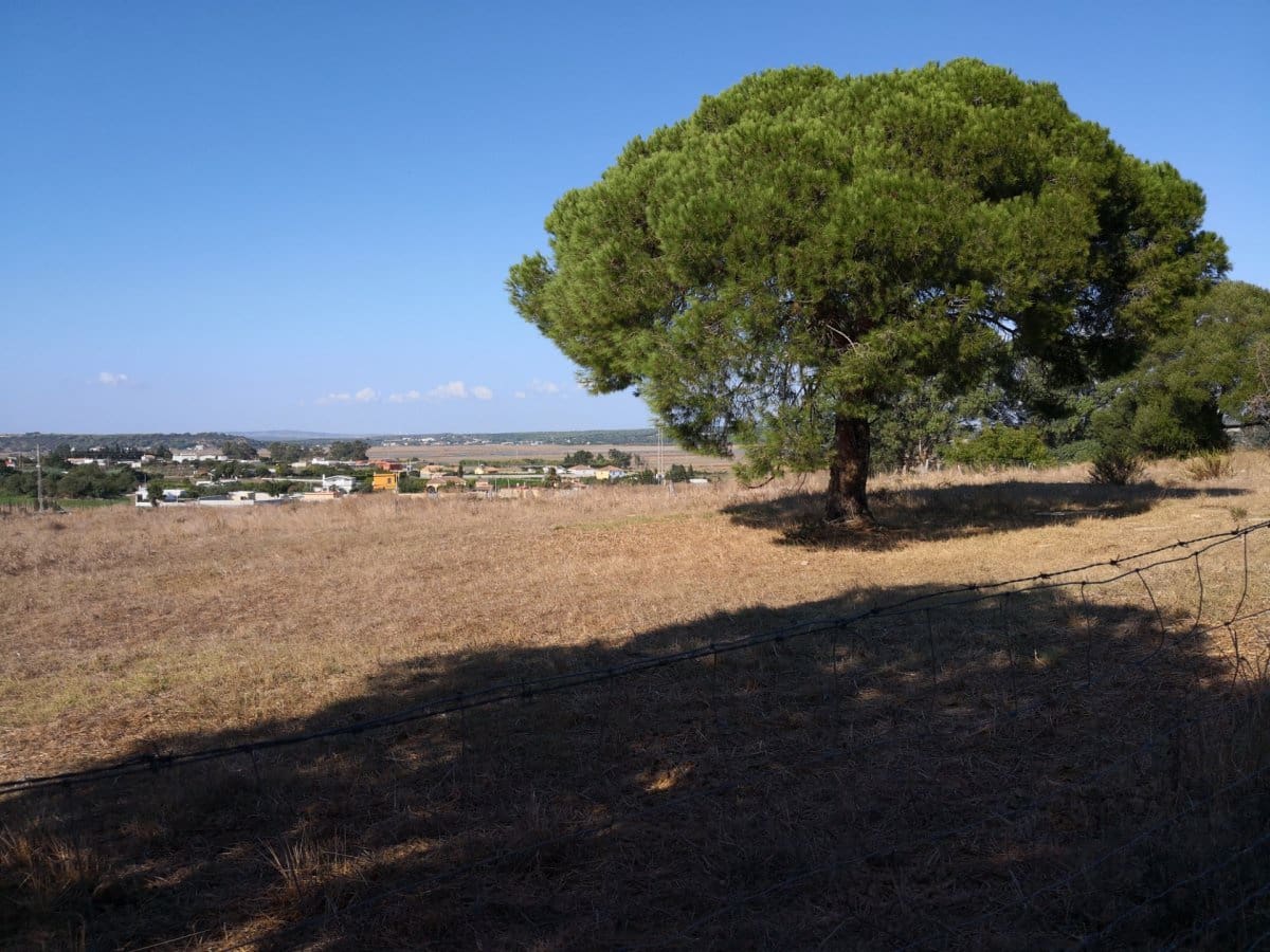 Grunde uden byggetilladelser til salg i Barbate - € 310.890 (Ref: 4914331)