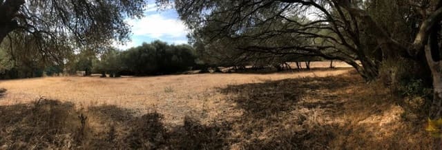 Undeveloped Land for sale in Vejer de la Frontera - € 210,000 (Ref: 6153655)