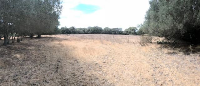 Undeveloped Land for sale in Vejer de la Frontera - € 210,000 (Ref: 6153655)