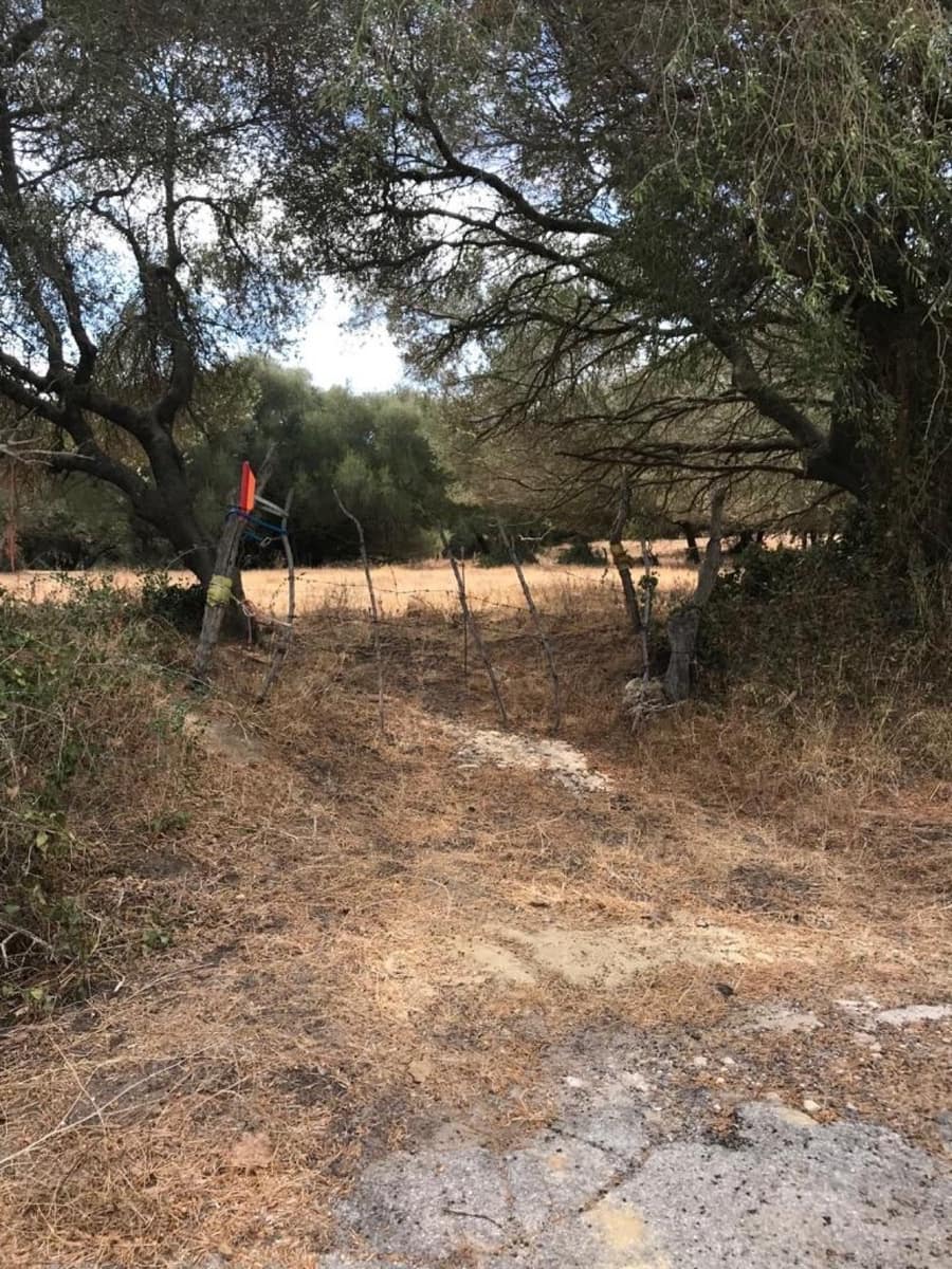 Mark till salu i Vejer de la Frontera - 210 000 € (Ref: 6153655)