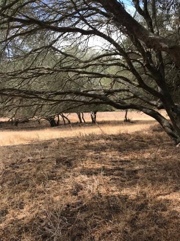 Undeveloped Land for sale in Vejer de la Frontera - € 210,000 (Ref: 6153655)
