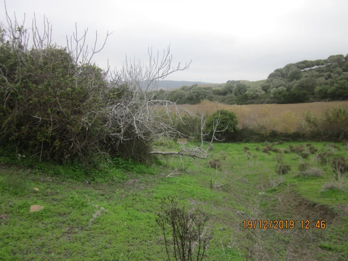 Grond te koop in Vejer de la Frontera - € 88.000 (Ref: 6153674)