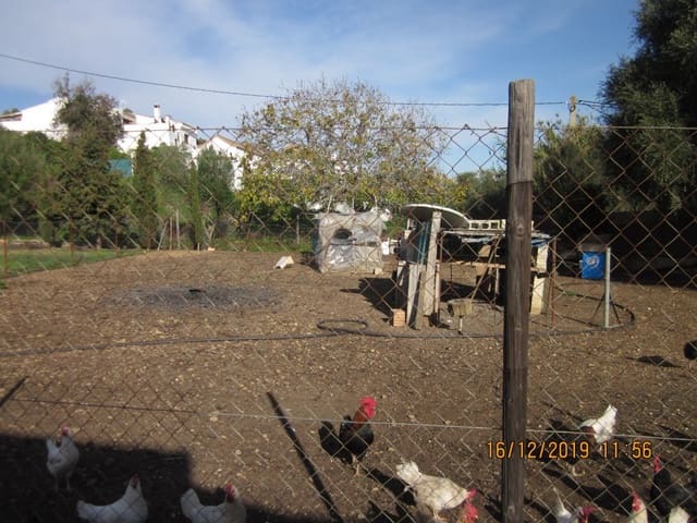 2 chambre Finca/Maison de Campagne à vendre à Vejer de la Frontera - 470 000 € (Ref: 6153677)