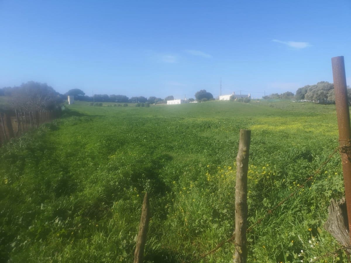 Grunde uden byggetilladelser til salg i Vejer de la Frontera - € 150.000 (Ref: 6153702)