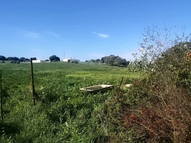Undeveloped Land for sale in Vejer de la Frontera - € 150,000 (Ref: 6153702)