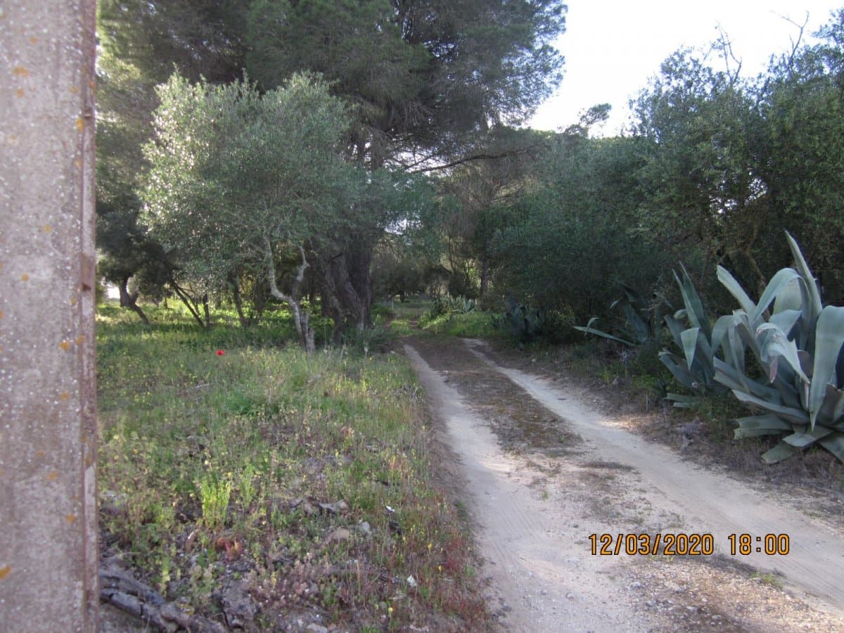 2 chambre Finca/Maison de Campagne à vendre à Barbate - 480 000 € (Ref: 6153723)