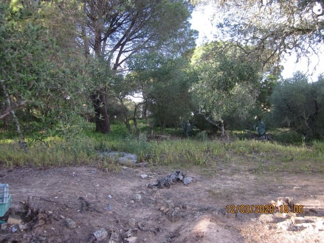 2 chambre Finca/Maison de Campagne à vendre à Barbate - 480 000 € (Ref: 6153723)