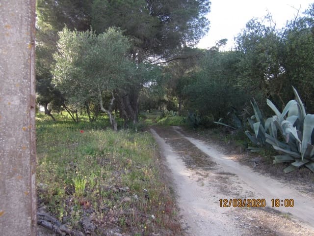 2 chambre Finca/Maison de Campagne à vendre à Barbate - 480 000 € (Ref: 6153723)