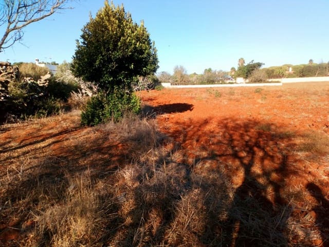 1 soveværelse Finca/Landehus til salg i Conil de la Frontera - € 1.200.000 (Ref: 6153766)