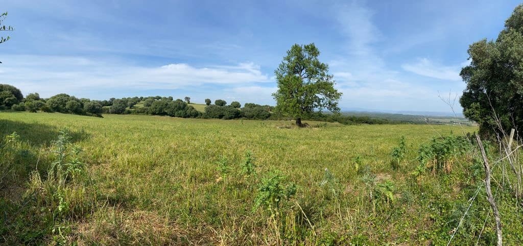 Grunde uden byggetilladelser til salg i Vejer de la Frontera - € 165.000 (Ref: 6153853)