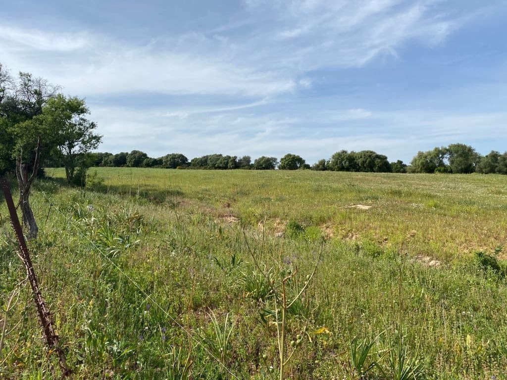 Grunde uden byggetilladelser til salg i Vejer de la Frontera - € 165.000 (Ref: 6153853)