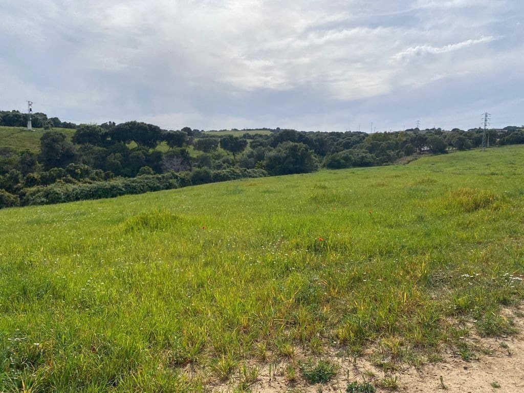 Grunde uden byggetilladelser til salg i Vejer de la Frontera - € 165.000 (Ref: 6153853)