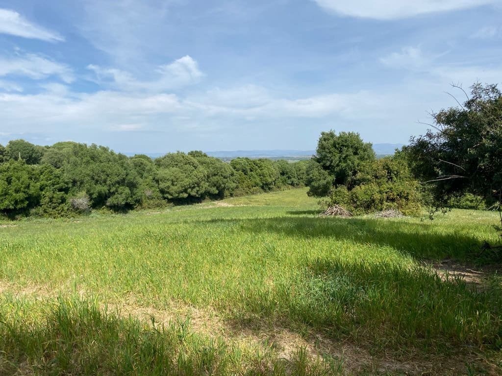 Grunde uden byggetilladelser til salg i Vejer de la Frontera - € 165.000 (Ref: 6153853)