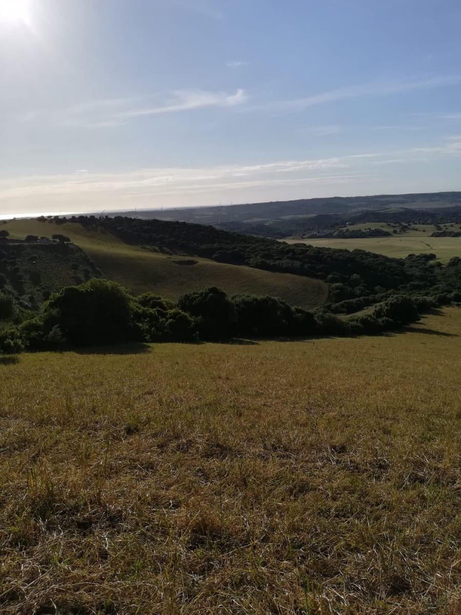 Grunde uden byggetilladelser til salg i Vejer de la Frontera - € 190.000 (Ref: 6153876)