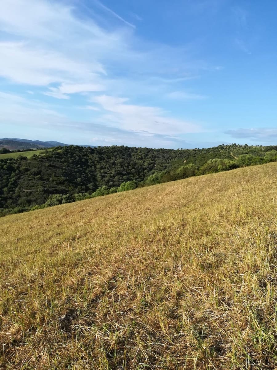 Grunde uden byggetilladelser til salg i Vejer de la Frontera - € 190.000 (Ref: 6153876)