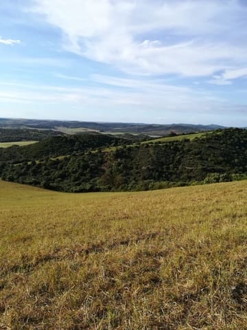 Grond te koop in Vejer de la Frontera - € 190.000 (Ref: 6153876)