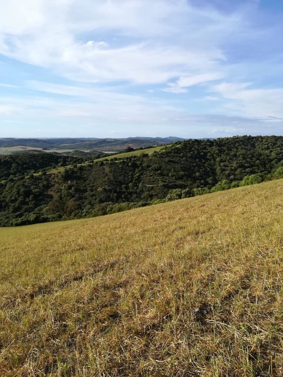 Grunde uden byggetilladelser til salg i Vejer de la Frontera - € 190.000 (Ref: 6153876)