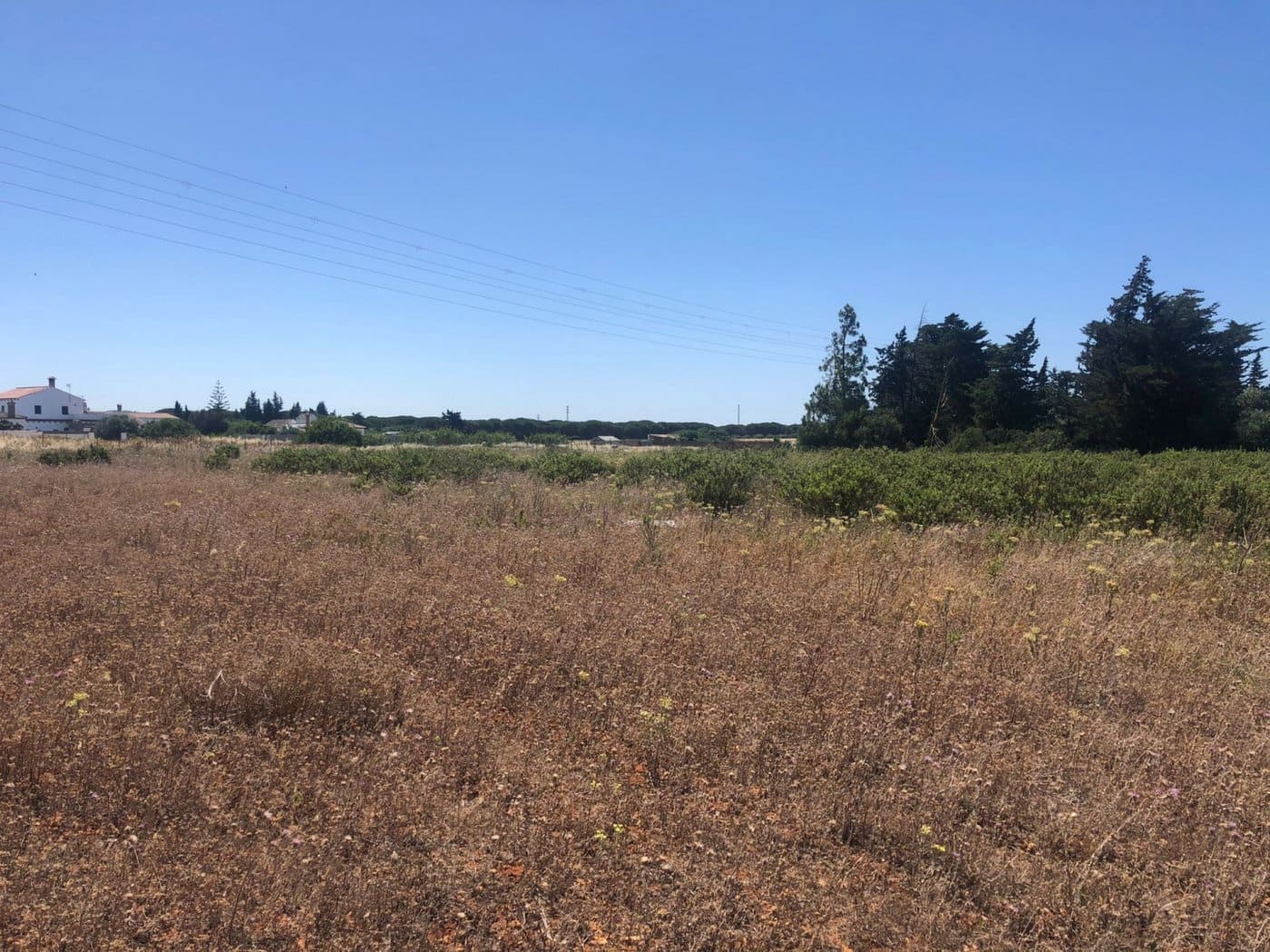 Terre non Aménagée à vendre à Conil de la Frontera - 308 000 € (Ref: 6153887)