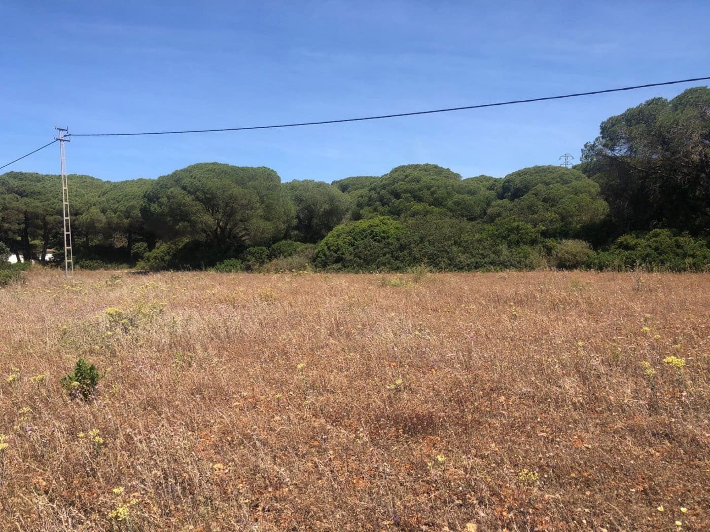 Terre non Aménagée à vendre à Conil de la Frontera - 308 000 € (Ref: 6153887)