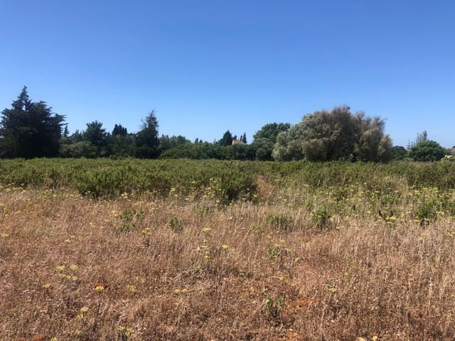 Ubebygd land til salgs i Conil de la Frontera - € 308 000 (Ref: 6153887)