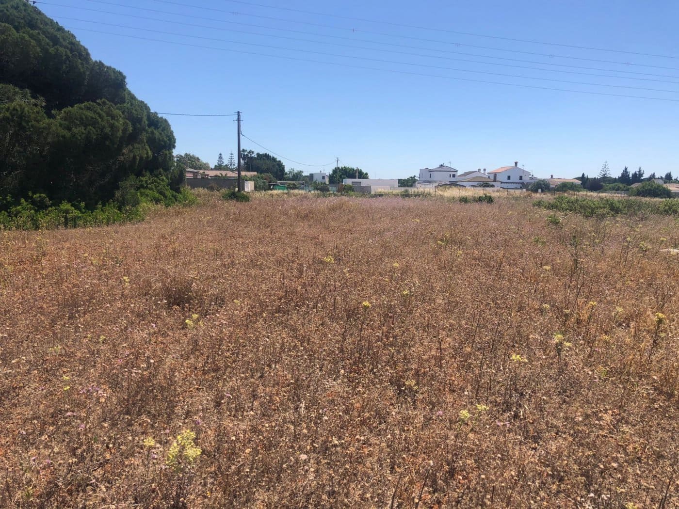 Terre non Aménagée à vendre à Conil de la Frontera - 308 000 € (Ref: 6153887)