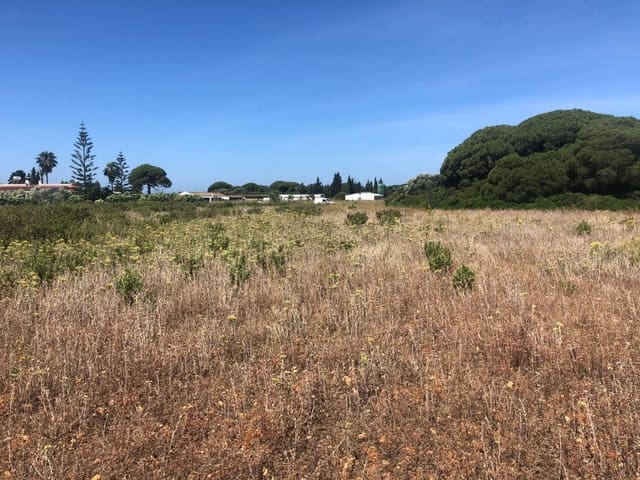 Ubebygd land til salgs i Conil de la Frontera - € 308 000 (Ref: 6153887)