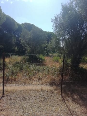 Bouwgrond te koop in Vejer de la Frontera - € 225.000 (Ref: 6298282)