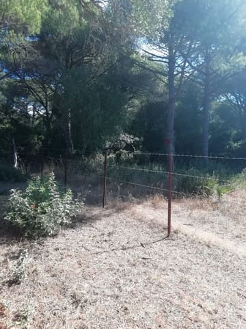 Bouwgrond te koop in Vejer de la Frontera - € 225.000 (Ref: 6298282)