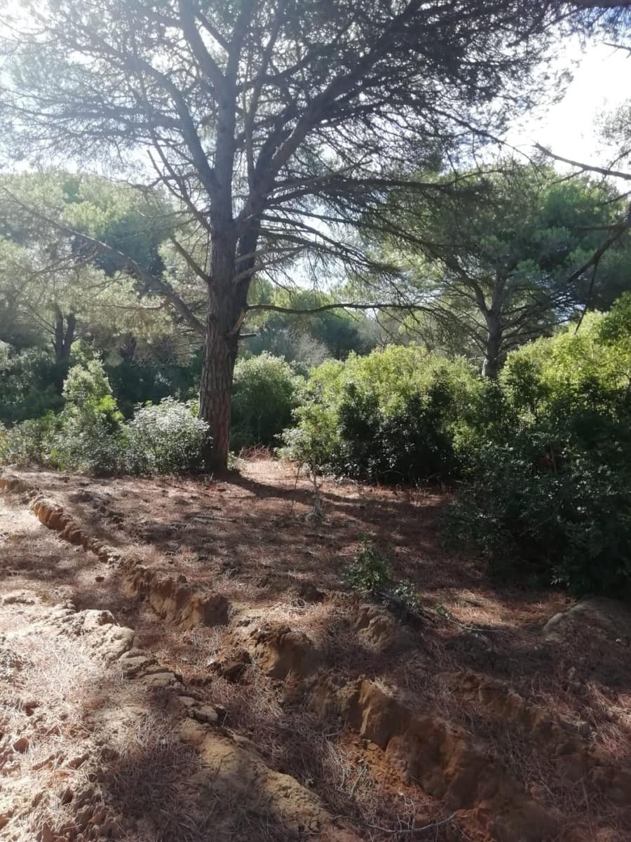 Byggetomt til salgs i Vejer de la Frontera - € 225 000 (Ref: 6298282)